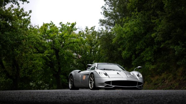 Essential tree services by skilled surgeons in moray