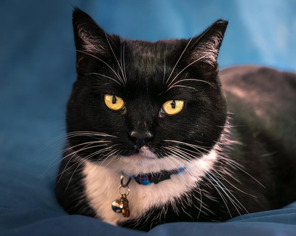 Choose the right pension advisor in ely for your future