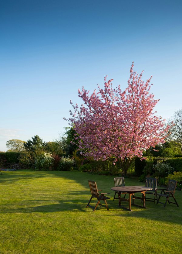 Transform your outdoor space: garden design in sevenoaks